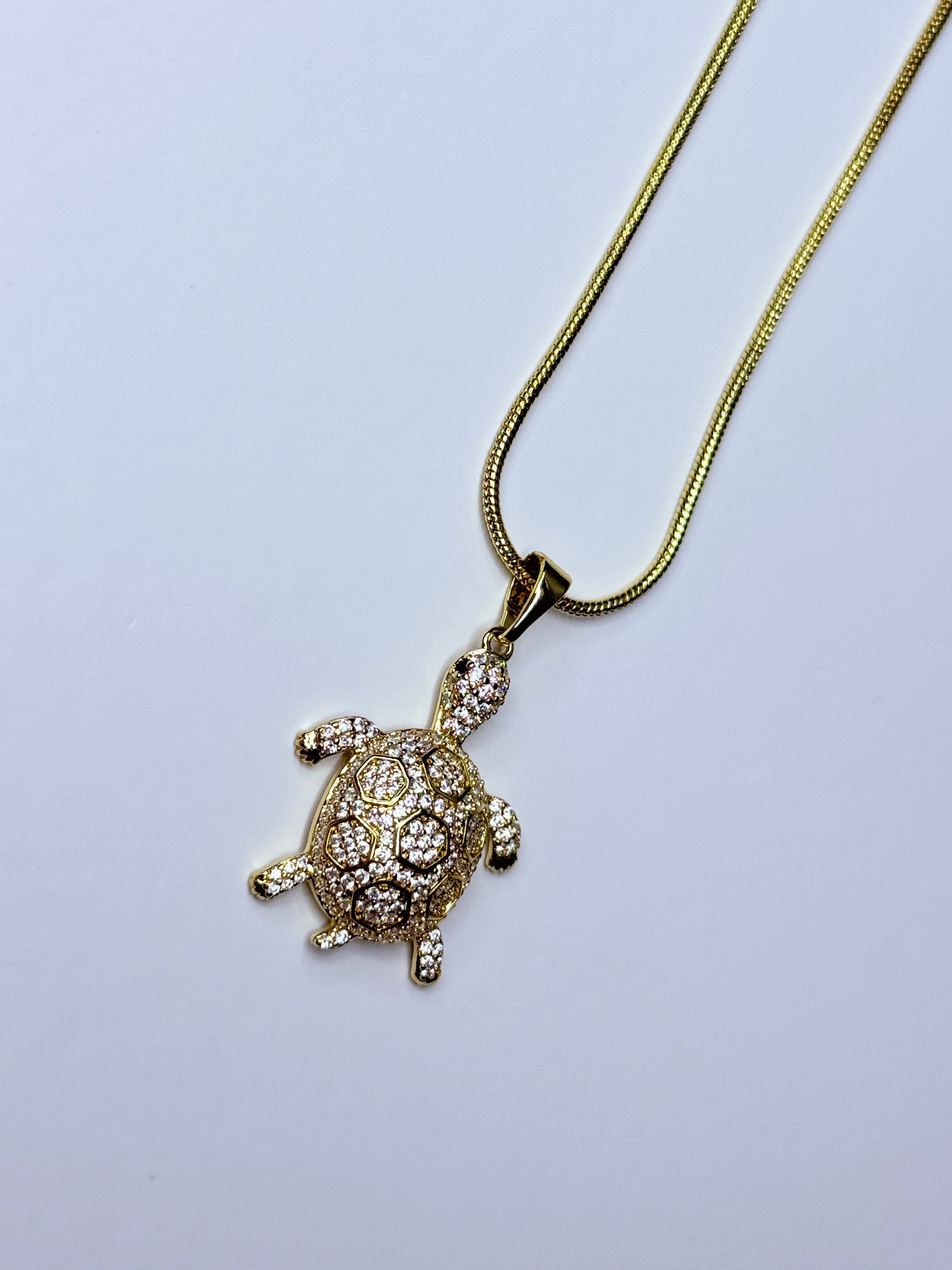 Turtle necklace.